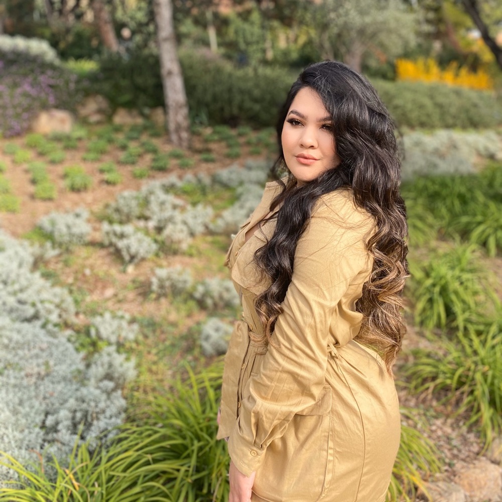Pretty Little Thing Dress